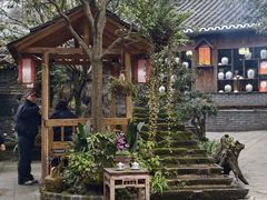 -青城甲(青城山店)