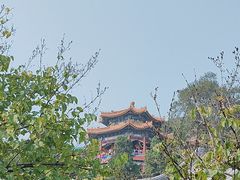 -宫事颐庭·老佛爷贵寿下午茶(颐和园店)