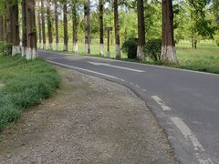 -黄海国家森林公园