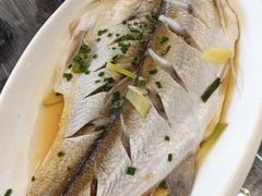 清蒸白鱼-蟹天蟹地农家菜·阳澄湖大闸蟹(浅水湾店)