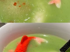 -桂满陇·海市蜃楼·黑金(国金店)