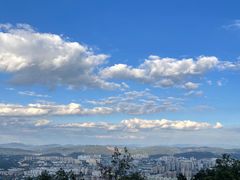 -长虫山生态公园风景林