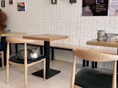 大堂-平行世界·猫咖(首经贸店)