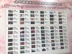-金鸡湖桃花岛