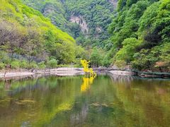 -少华山国家森林公园