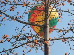 -中国科学院西双版纳热带植物园