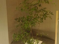 -益健·足疗汗蒸SPA(芙蓉广场店)