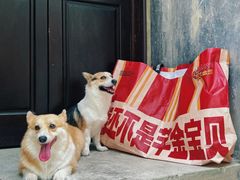 -大芊金重庆串串火锅(南京路店)