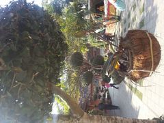 android_upload_pic-西双版纳傣族园