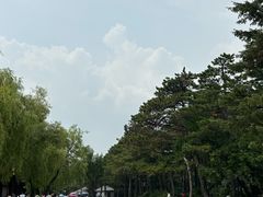 -长春市南湖公园