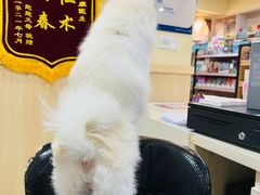 -宠颐生宠物医院·骨外科·犬猫全科诊疗中心(池州店)