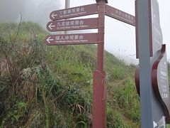 -紫鹊界梯田景区