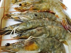 大虾-一天好养生火锅·衢州人自己的火锅(阳光水岸店)