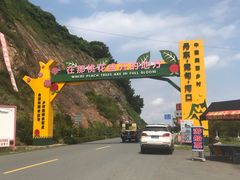 -河口景区