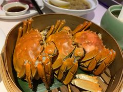 大闸蟹-蟹榭(静安寺晶品商场店)