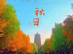 -玲珑塔公园