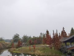 -眉山湿地公园(东坡区)