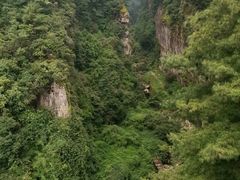 -苍山感通索道