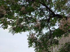 -老门东历史文化街区