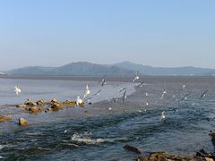 -深圳湾公园(南山区)