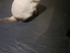-吱咖啡西式简餐