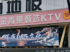 -金青果甄选KTV(劳动公园店)
