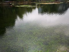 -靖西鹅泉风景区
