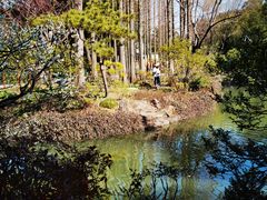 -上海醉白池公园