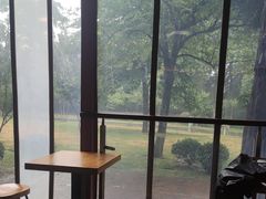 -鸡鸣汤包(红山动物园店)