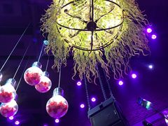 -胡桃里音乐酒馆(曲江店)