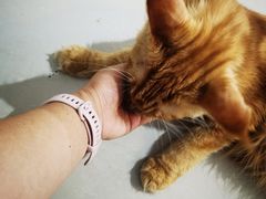 -平行世界·猫咖(首经贸店)