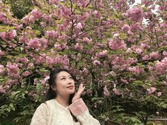 -武汉大学-樱园