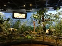 -陕西自然博物馆