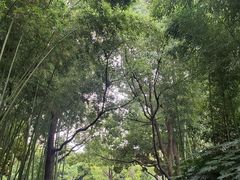 -苏州河梦清园环保主题公园