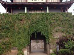 -东方明珠国际旅行社有限公司
