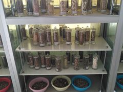 -北京中医药大学-中医药博物馆