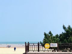 -日照海滨国家森林公园