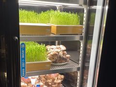 -捞王猪肚鸡火锅(财富中心店)