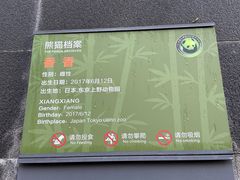 -中国大熊猫保护研究中心雅安碧峰峡基地