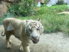 -杭州野生动物世界