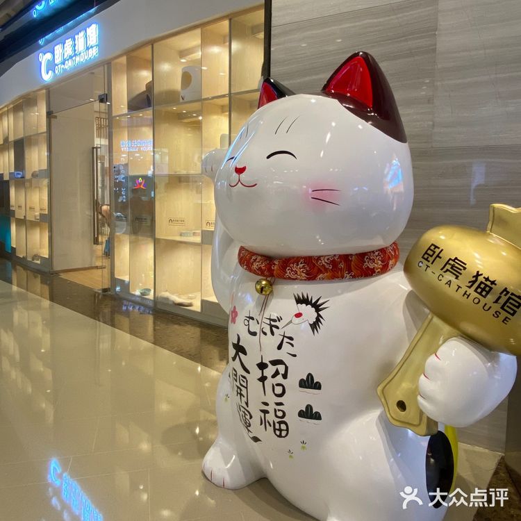 深圳探店｜一起撸猫🐱一起喵喵喵🐱