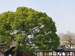 -枫桥景区