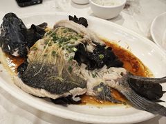 -清新鸡沙田乳鸽店(金融店)