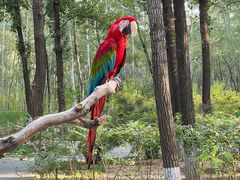 -北京野生动物园