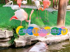 -上海野生动物园