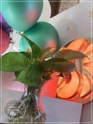 -尚艺造型.剪烫染.接发