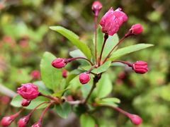 -外高桥保税区南(地铁站)