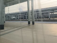 -郑姐私房菜•家常菜