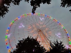 -凤岭儿童公园