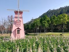 -顺峰山公园
